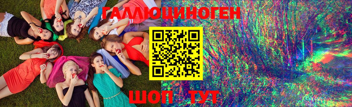 Галлюциногенные грибы Psilocybine cubensis Славянск-на-Кубани
