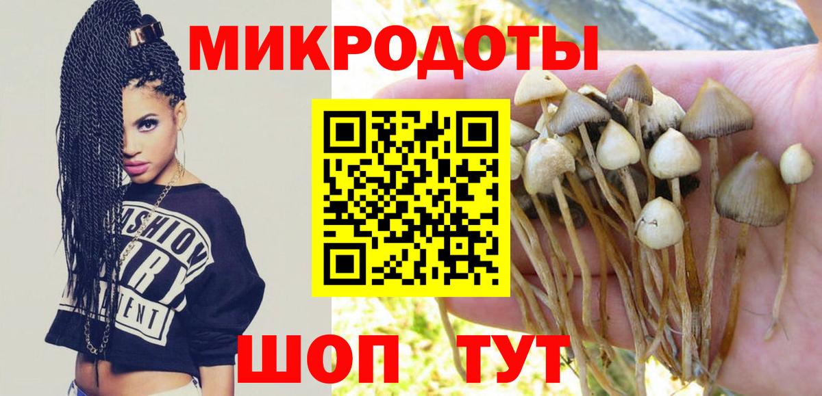 Славянск-на-Кубани  Галлюциногенные грибы мухоморы  Вход с VPN 
